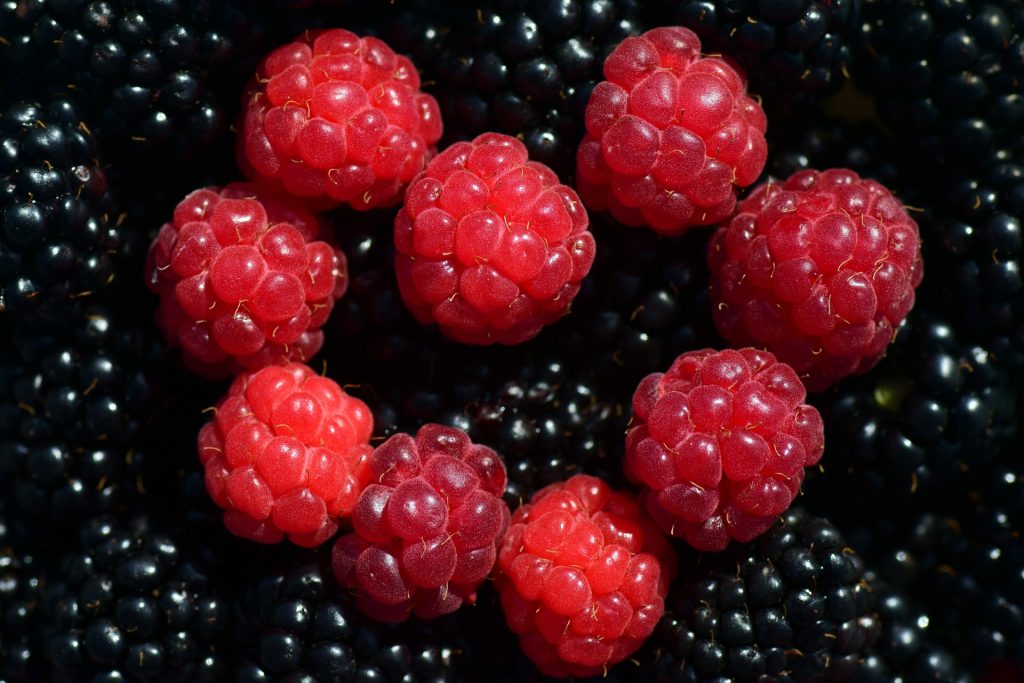 Rose and Blackberry Cupcakes