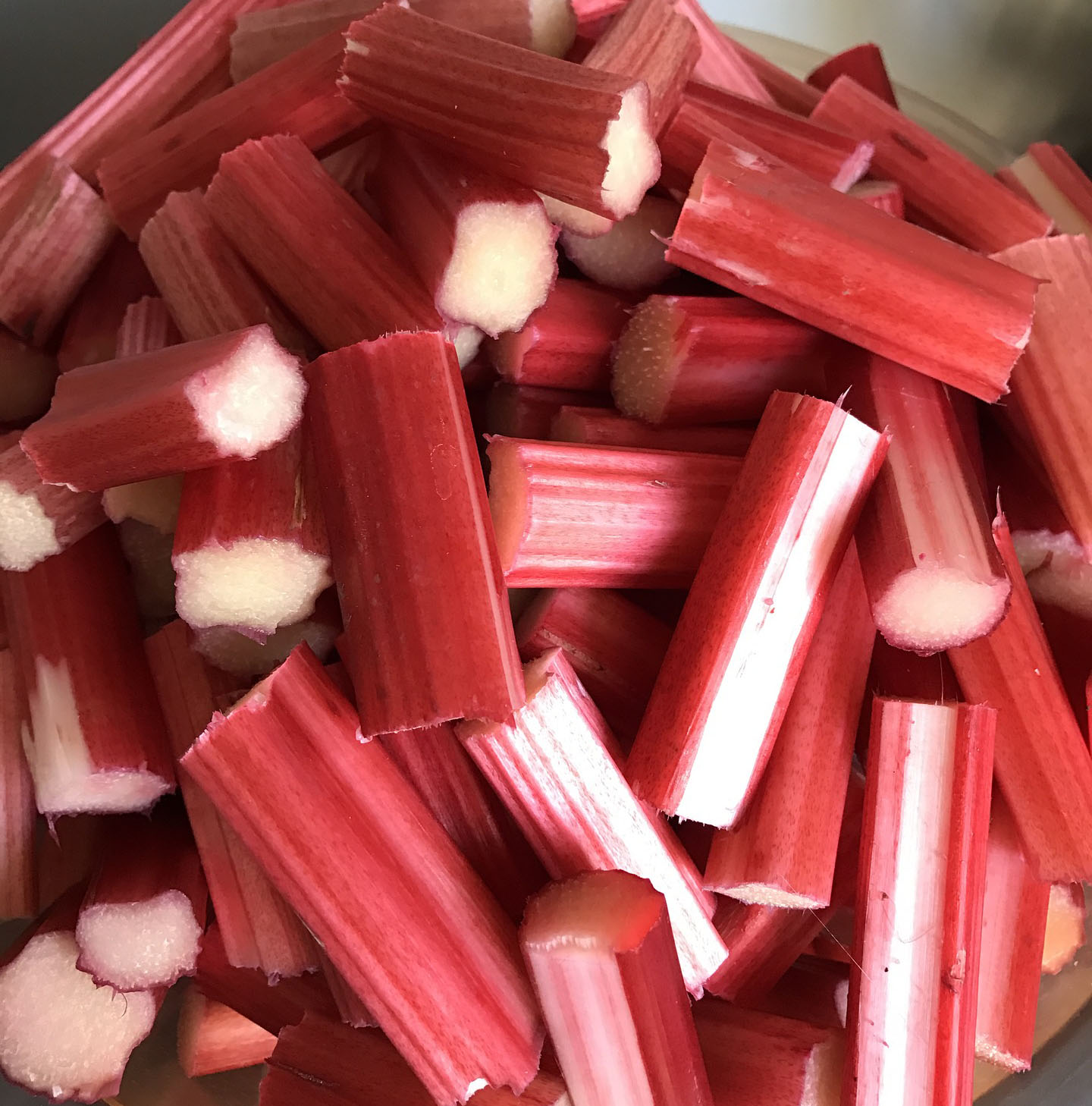 Rhubard Season