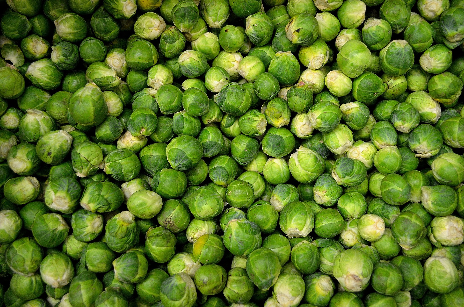 Sprouts O’Clock