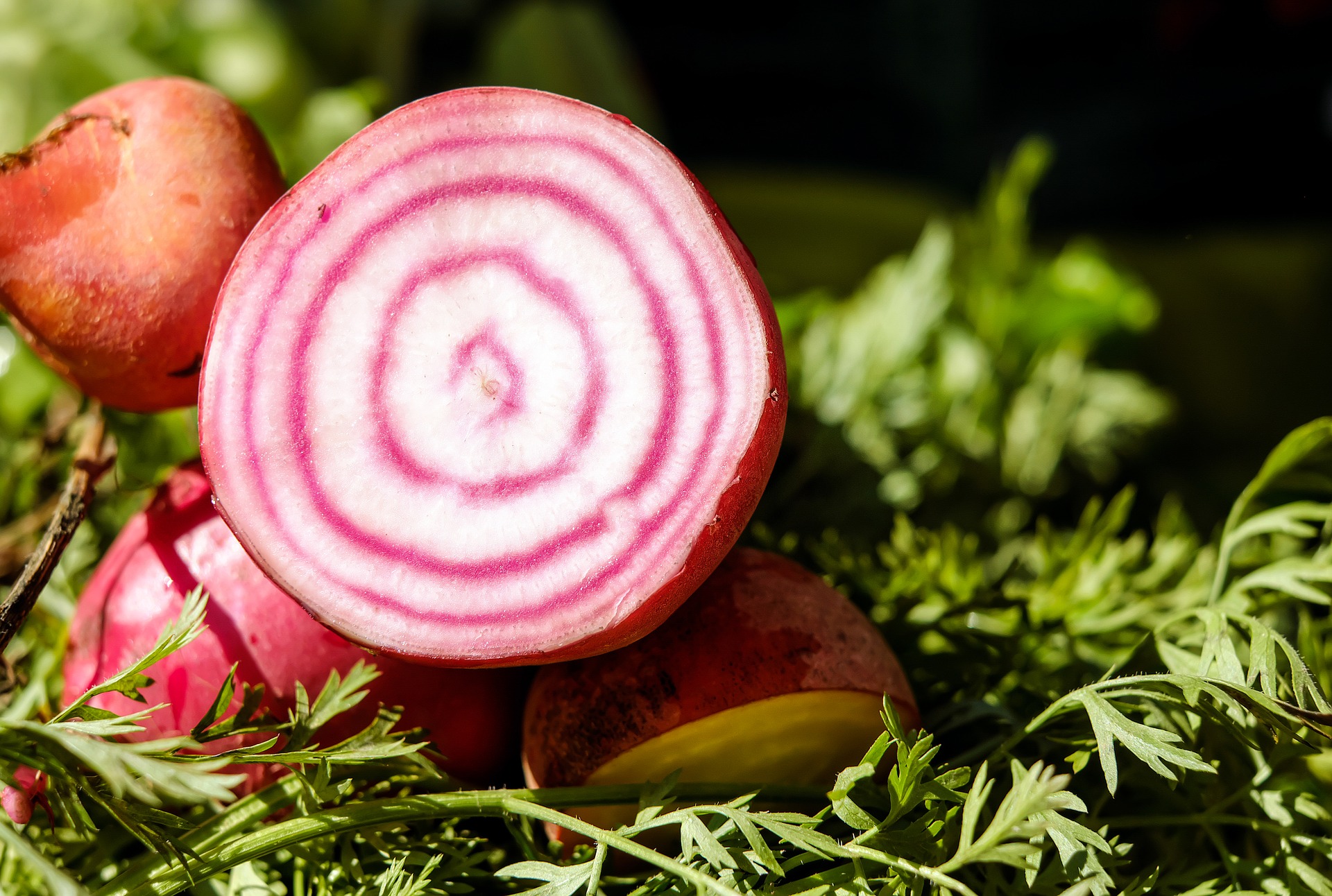 Beautiful Beetroot