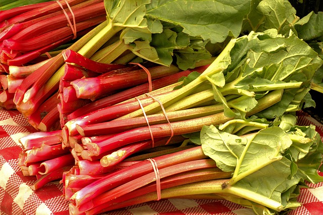 fresh rhubarb